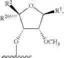 Fig. 207 - Modified short interfering nucleic acid (siNA) molecules and uses thereof
