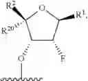 Fig. 22 - Modified short interfering nucleic acid (siNA) molecules and uses thereof