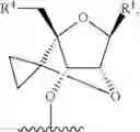 Fig. 223 - Modified short interfering nucleic acid (siNA) molecules and uses thereof