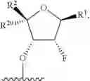 Fig. 242 - Modified short interfering nucleic acid (siNA) molecules and uses thereof