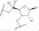 Fig. 257 - Modified short interfering nucleic acid (siNA) molecules and uses thereof