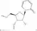 Fig. 261 - Modified short interfering nucleic acid (siNA) molecules and uses thereof