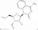 Fig. 263 - Modified short interfering nucleic acid (siNA) molecules and uses thereof
