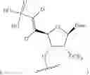 Fig. 267 - Modified short interfering nucleic acid (siNA) molecules and uses thereof