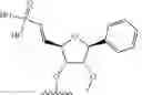 Fig. 269 - Modified short interfering nucleic acid (siNA) molecules and uses thereof