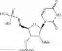 Fig. 271 - Modified short interfering nucleic acid (siNA) molecules and uses thereof