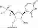 Fig. 272 - Modified short interfering nucleic acid (siNA) molecules and uses thereof