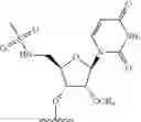 Fig. 273 - Modified short interfering nucleic acid (siNA) molecules and uses thereof