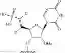 Fig. 275 - Modified short interfering nucleic acid (siNA) molecules and uses thereof