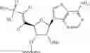 Fig. 276 - Modified short interfering nucleic acid (siNA) molecules and uses thereof