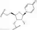 Fig. 278 - Modified short interfering nucleic acid (siNA) molecules and uses thereof