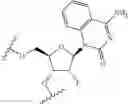 Fig. 280 - Modified short interfering nucleic acid (siNA) molecules and uses thereof