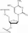 Fig. 282 - Modified short interfering nucleic acid (siNA) molecules and uses thereof