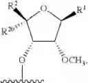 Fig. 37 - Modified short interfering nucleic acid (siNA) molecules and uses thereof