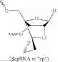 Fig. 78 - Modified short interfering nucleic acid (siNA) molecules and uses thereof