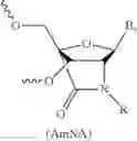 Fig. 79 - Modified short interfering nucleic acid (siNA) molecules and uses thereof