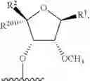 Fig. 88 - Modified short interfering nucleic acid (siNA) molecules and uses thereof