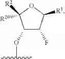 Fig. 92 - Modified short interfering nucleic acid (siNA) molecules and uses thereof