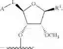 Fig. 98 - Modified short interfering nucleic acid (siNA) molecules and uses thereof