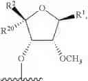 Fig. 99 - Modified short interfering nucleic acid (siNA) molecules and uses thereof