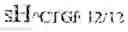 Fig. 05 - HYBRID NUCLEIC ACID SWITCHES