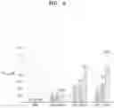 Fig. 06 - Recombinant microorganism including genetic modification that increases activity of nitrous oxide reductase pathway and method of reducing concentration of nitrous oxide in sample by using the same