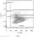 Fig. 02 - PROTEIN TRANSLATION USING CIRCULAR RNA AND APPLICATION THEREOF