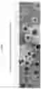 Fig. 14 - GENOME MODIFICATION USING GUIDE POLYNUCLEOTIDE/CAS ENDONUCLEASE SYSTEMS AND METHODS OF USE
