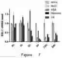 Fig. 05 - USE OF BXL GENE OR PROTEIN ENCODED THEREBY