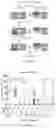 Fig. 07 - Compositions and Methods for Allelic Gene Drive Systems and Lethal Mosaicism