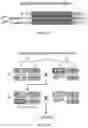 Fig. 09 - Compositions and Methods for Allelic Gene Drive Systems and Lethal Mosaicism