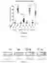 Fig. 10 - Compositions and Methods for Allelic Gene Drive Systems and Lethal Mosaicism