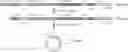 Fig. 01 - Recombinant nucleic acid molecule of transcriptional circular RNA and its application in protein expression