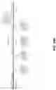Fig. 112 - SYNTHETIC CIRCUIT FOR CELLULAR MULTISTABILITY