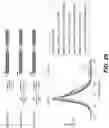 Fig. 139 - SYNTHETIC CIRCUIT FOR CELLULAR MULTISTABILITY