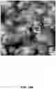 Fig. 77 - SYNTHETIC CIRCUIT FOR CELLULAR MULTISTABILITY
