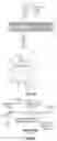 Fig. 06 - THERAPEUTIC PARTICLES THAT ENABLE ANTIGEN PRESENTING CELLS TO ATTACK CANCER CELLS