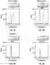 Fig. 09 - THERAPEUTIC PARTICLES THAT ENABLE ANTIGEN PRESENTING CELLS TO ATTACK CANCER CELLS
