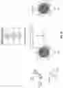 Fig. 27 - THERAPEUTIC PARTICLES THAT ENABLE ANTIGEN PRESENTING CELLS TO ATTACK CANCER CELLS