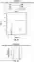 Fig. 30 - THERAPEUTIC PARTICLES THAT ENABLE ANTIGEN PRESENTING CELLS TO ATTACK CANCER CELLS