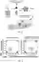 Fig. 15 - GENERATION OF CHIMERIC ANTIGEN RECEPTOR (CAR)-PRIMARY NK CELLS FOR CANCER IMMUNOTHERAPY USING A COMBINATION OF CAS9/RNP AND AAV VIRUSES