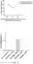 Fig. 19 - GENERATION OF CHIMERIC ANTIGEN RECEPTOR (CAR)-PRIMARY NK CELLS FOR CANCER IMMUNOTHERAPY USING A COMBINATION OF CAS9/RNP AND AAV VIRUSES