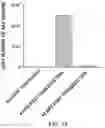 Fig. 20 - GENERATION OF CHIMERIC ANTIGEN RECEPTOR (CAR)-PRIMARY NK CELLS FOR CANCER IMMUNOTHERAPY USING A COMBINATION OF CAS9/RNP AND AAV VIRUSES