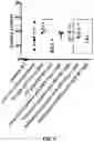 Fig. 03 - METHODS FOR TREATING INHERITED EYE DEFECTS
