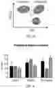 Fig. 07 - Methods of treating or preventing pyruvate kinase deficiency