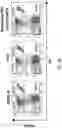 Fig. 08 - Methods of treating or preventing pyruvate kinase deficiency