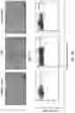 Fig. 09 - Methods of treating or preventing pyruvate kinase deficiency