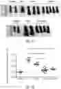 Fig. 18 - Methods of treating or preventing pyruvate kinase deficiency