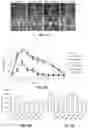 Fig. 25 - GENE THERAPY USING GENETICALLY MODIFIED VIRAL VECTORS