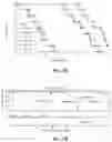 Fig. 30 - GENE THERAPY USING GENETICALLY MODIFIED VIRAL VECTORS